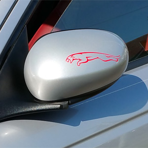 Retrofit Powerfold Wing Mirrors